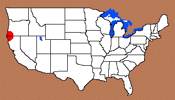 Coquille Distribution