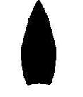 Fayette Projectile Point