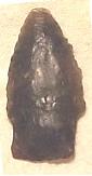 Scottbluff Projectile Point