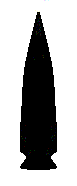 Fishspear Projectile Point